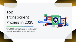 Top 11 Transparent Proxies in 2025